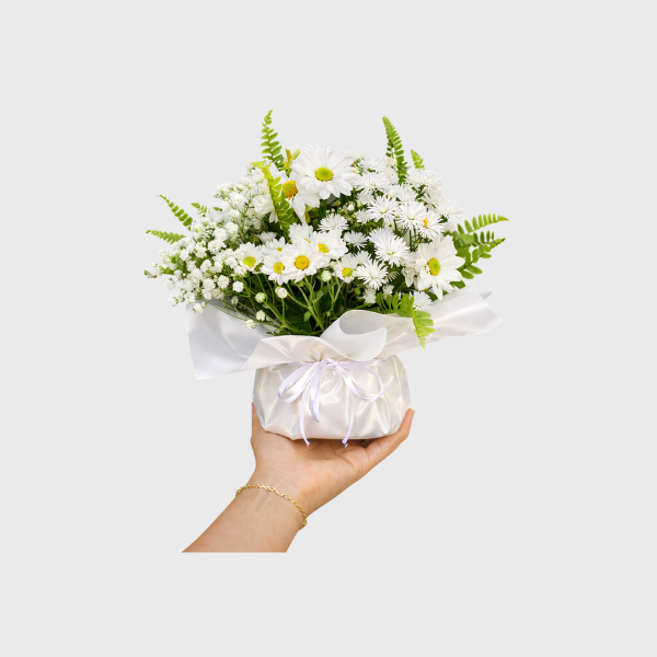 Arranjo Brisa Serena